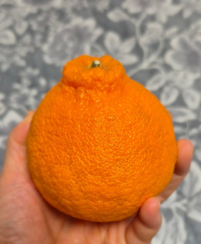 포토 후기 이미지