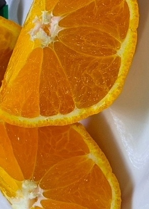 포토 후기 이미지