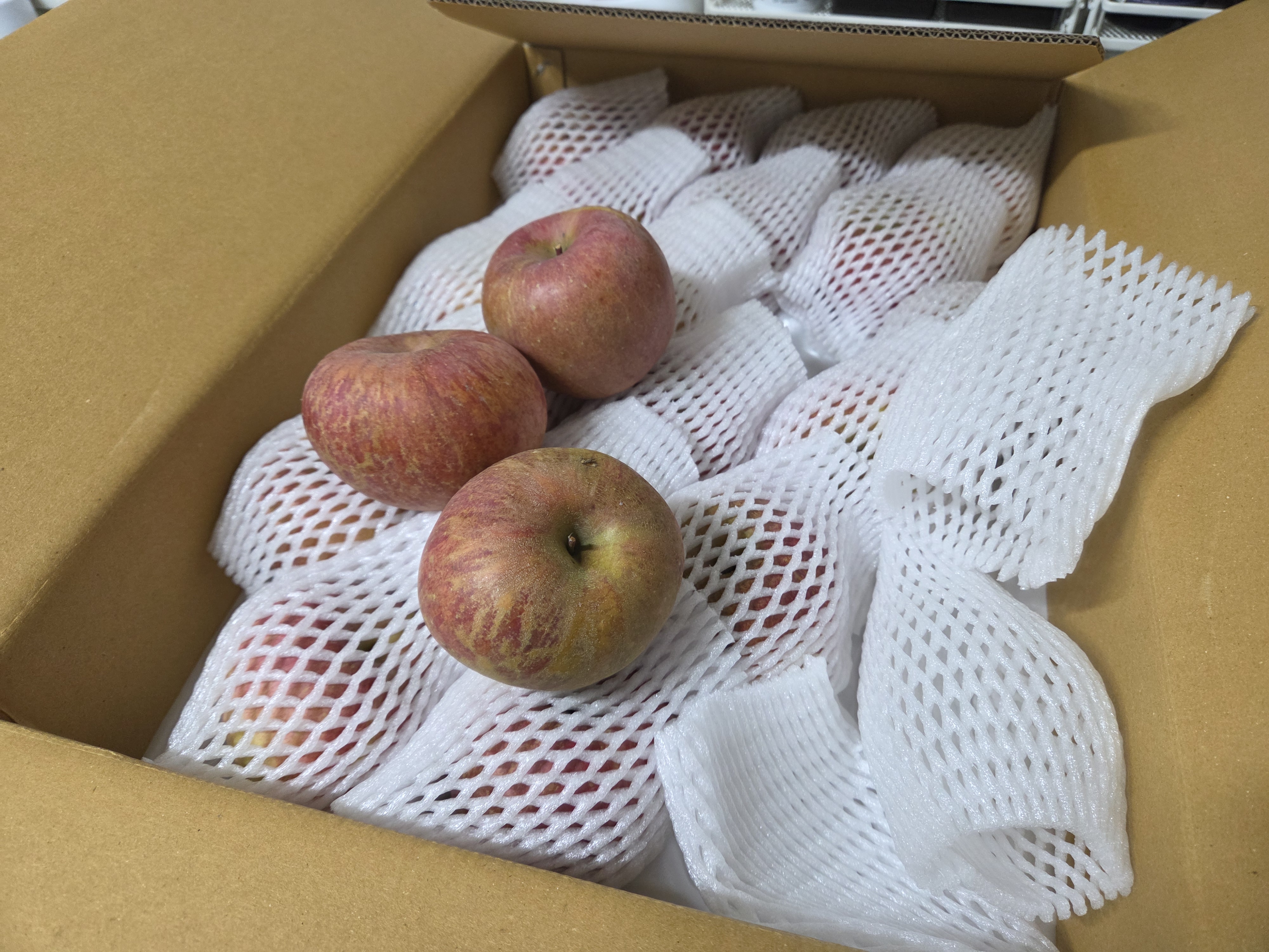 포토 후기 이미지