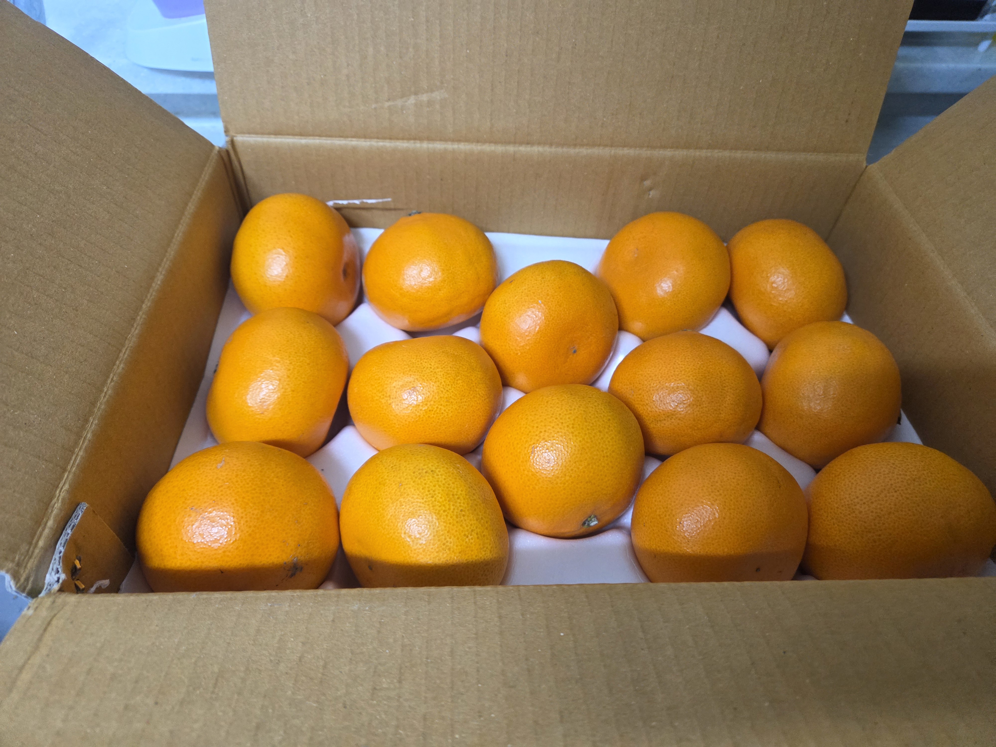 포토 후기 이미지