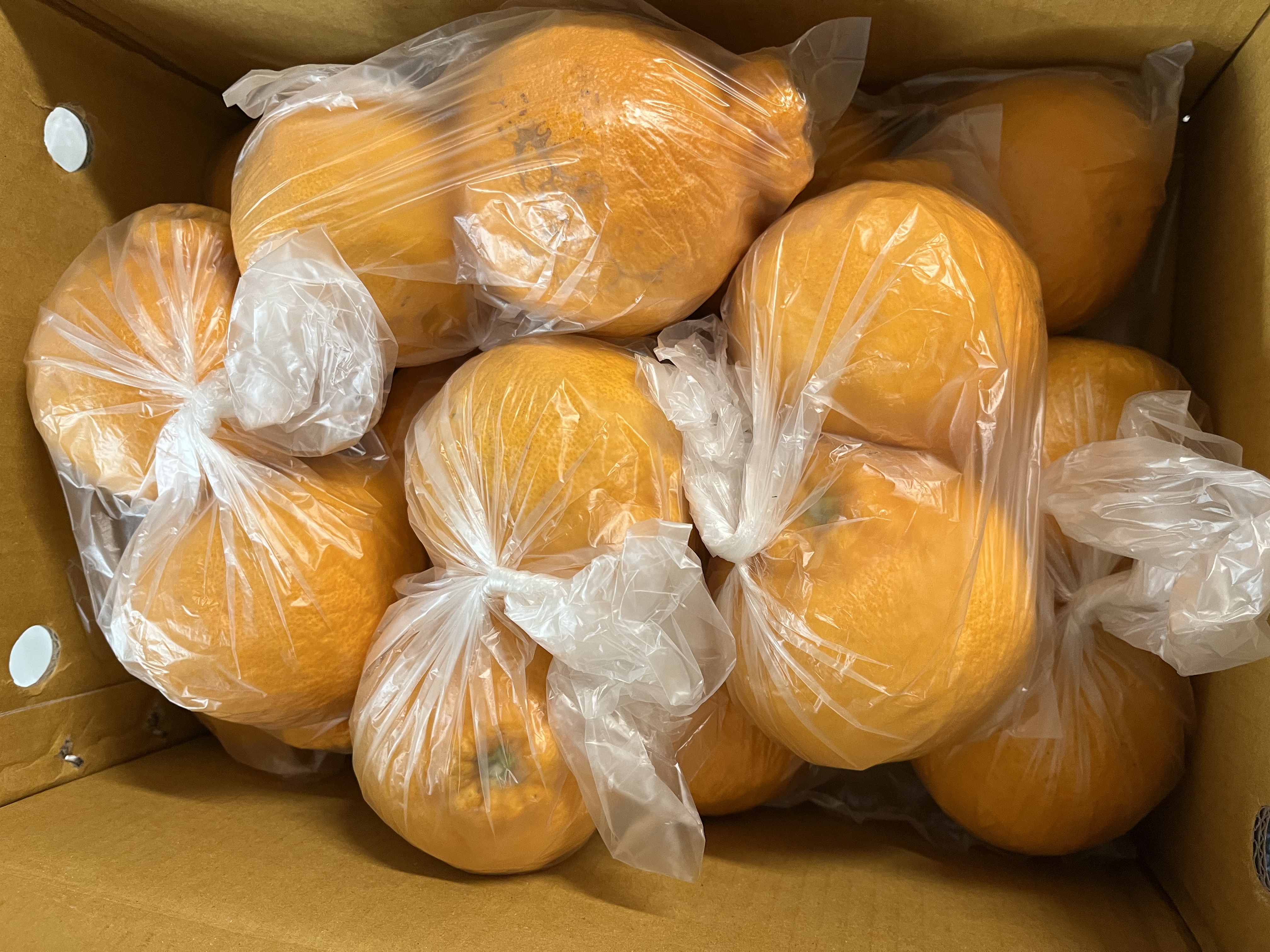 포토 후기 이미지