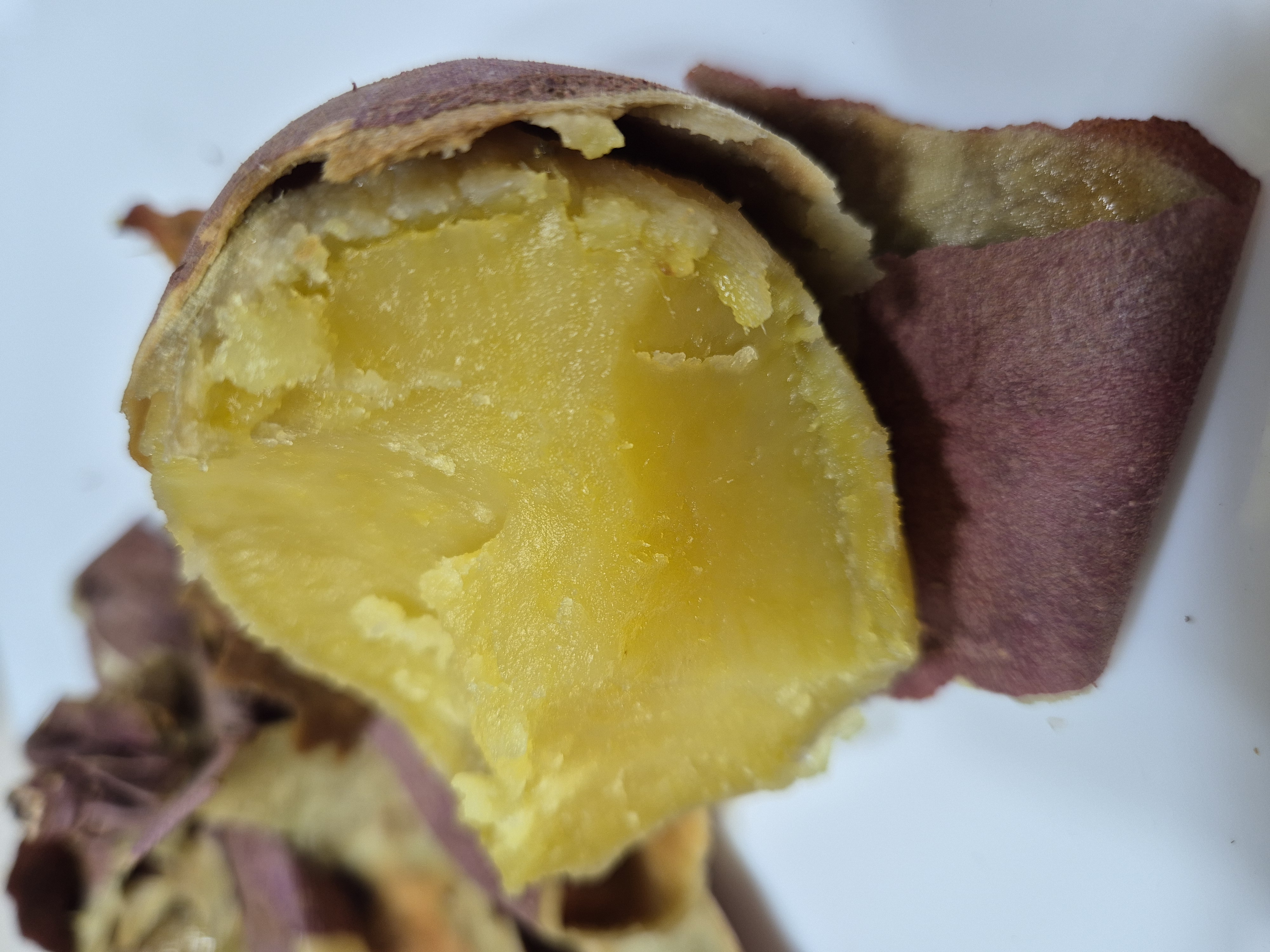 포토후기 이미지