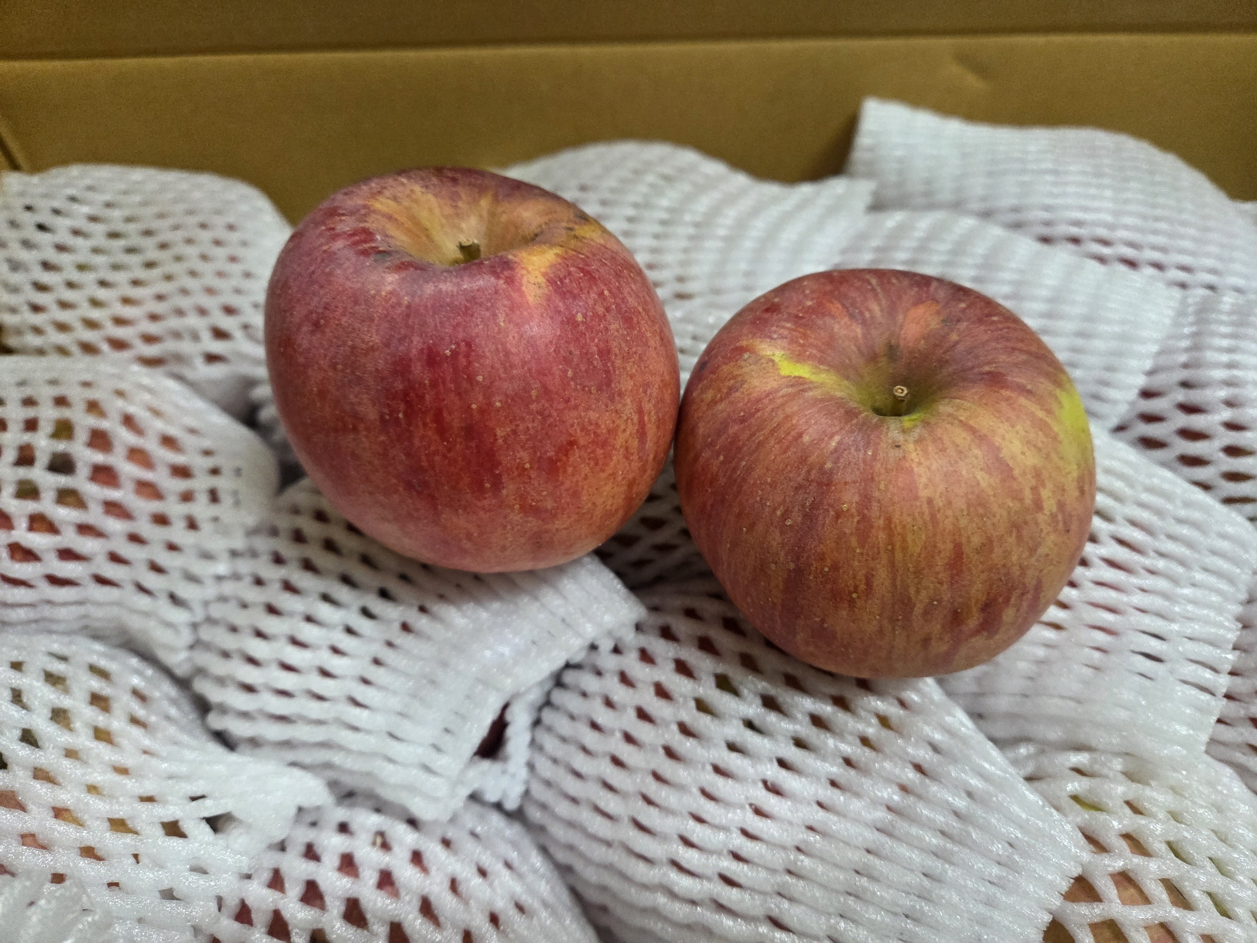 포토 후기 이미지