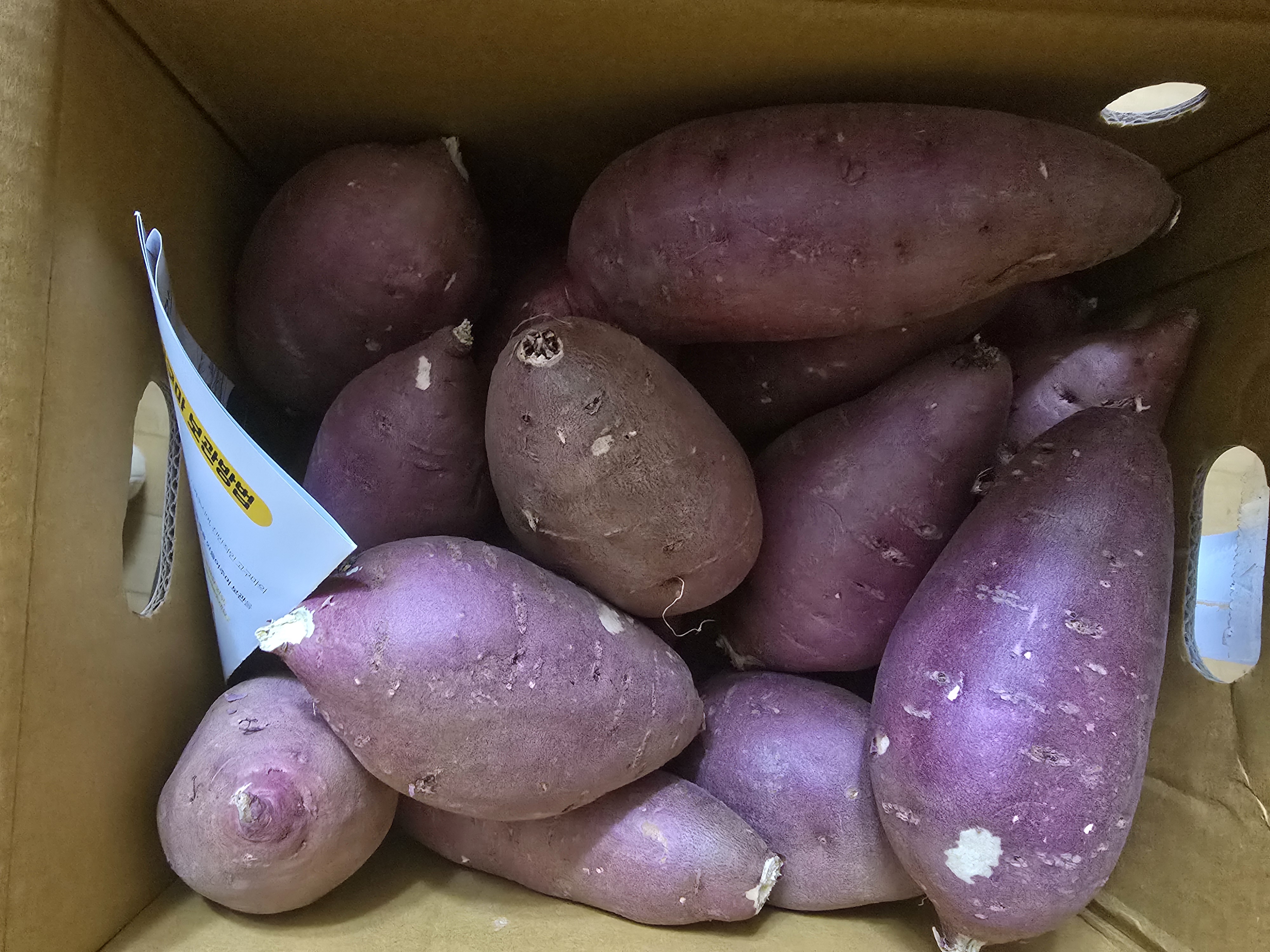 포토 후기 이미지