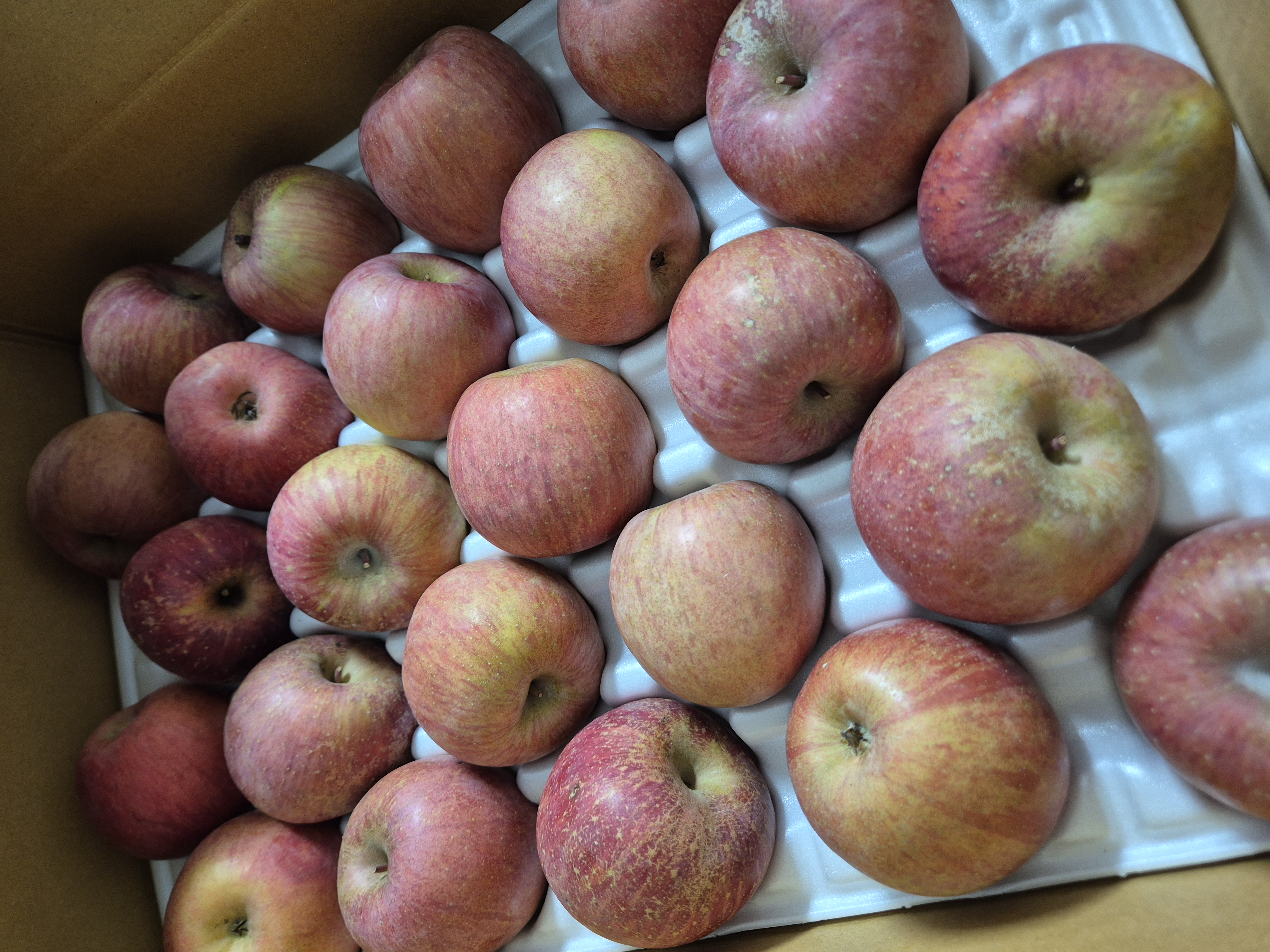 포토 후기 이미지