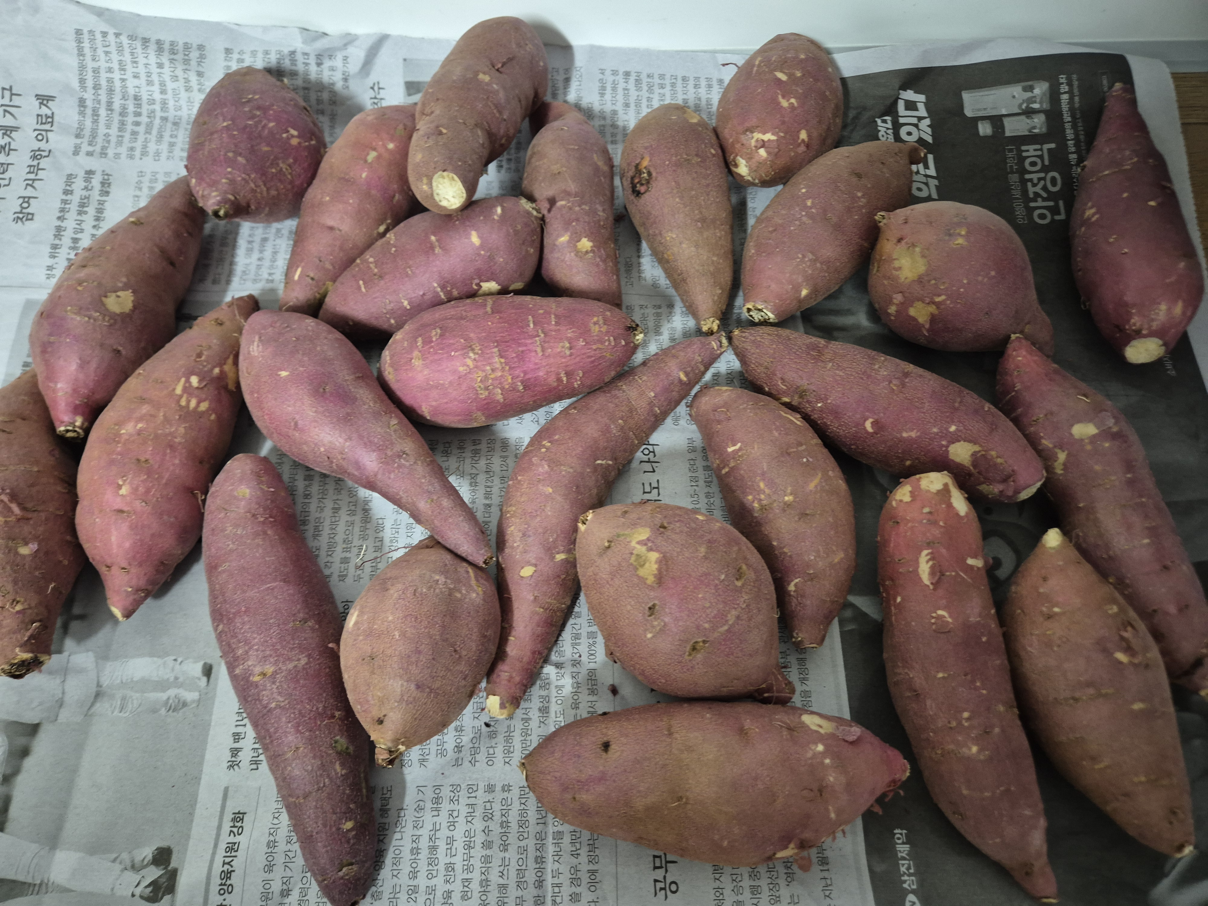 포토 후기 이미지