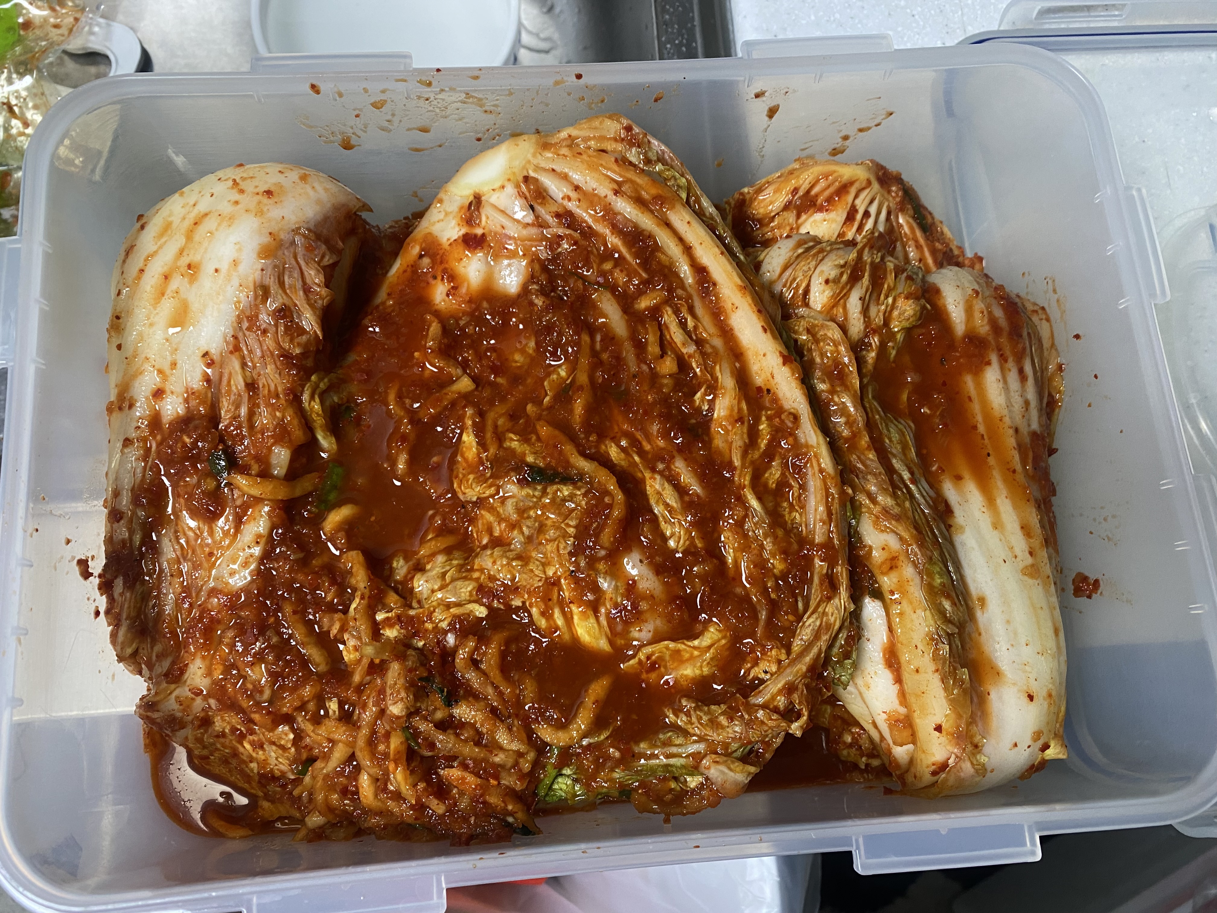 포토후기 이미지