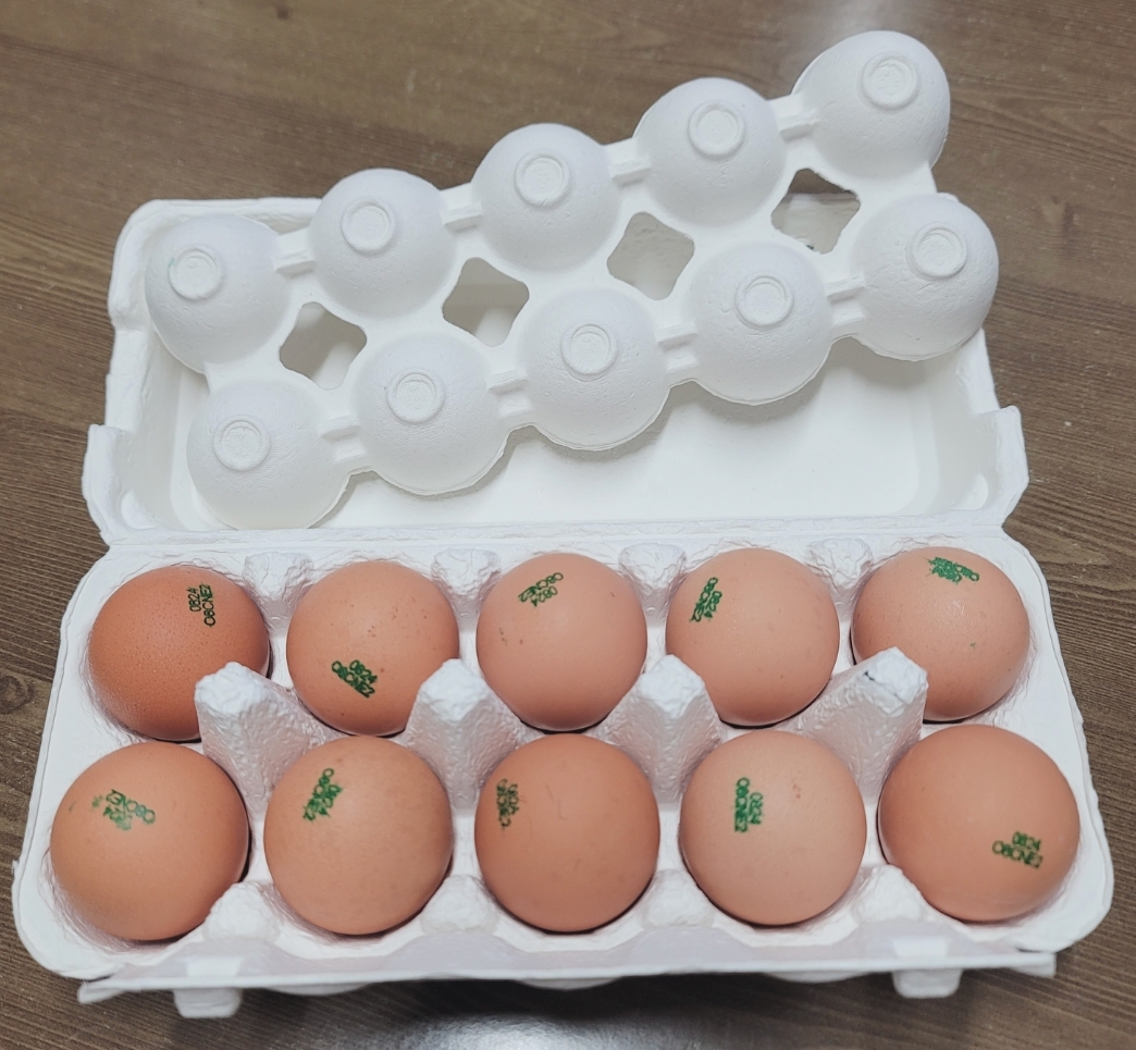 포토 후기 이미지