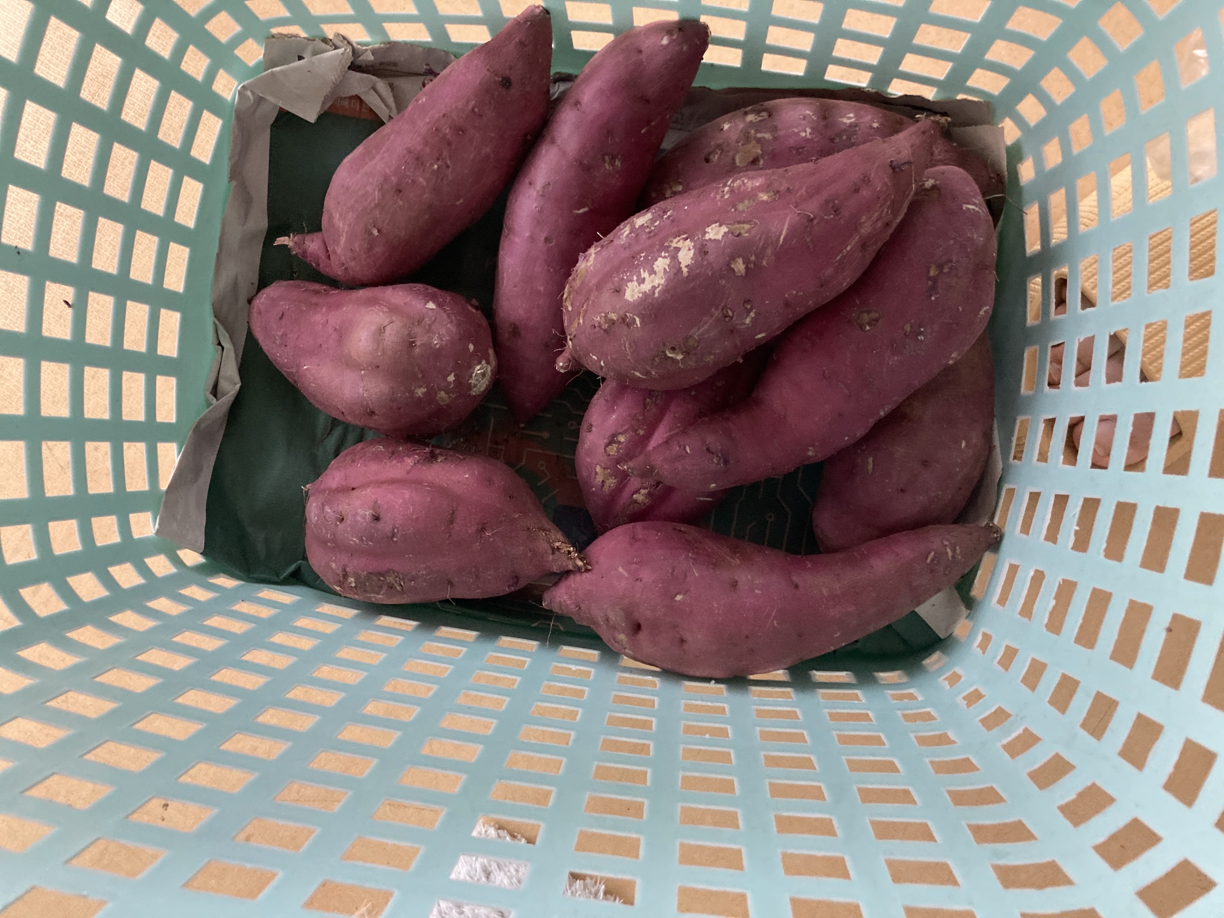 포토 후기 이미지