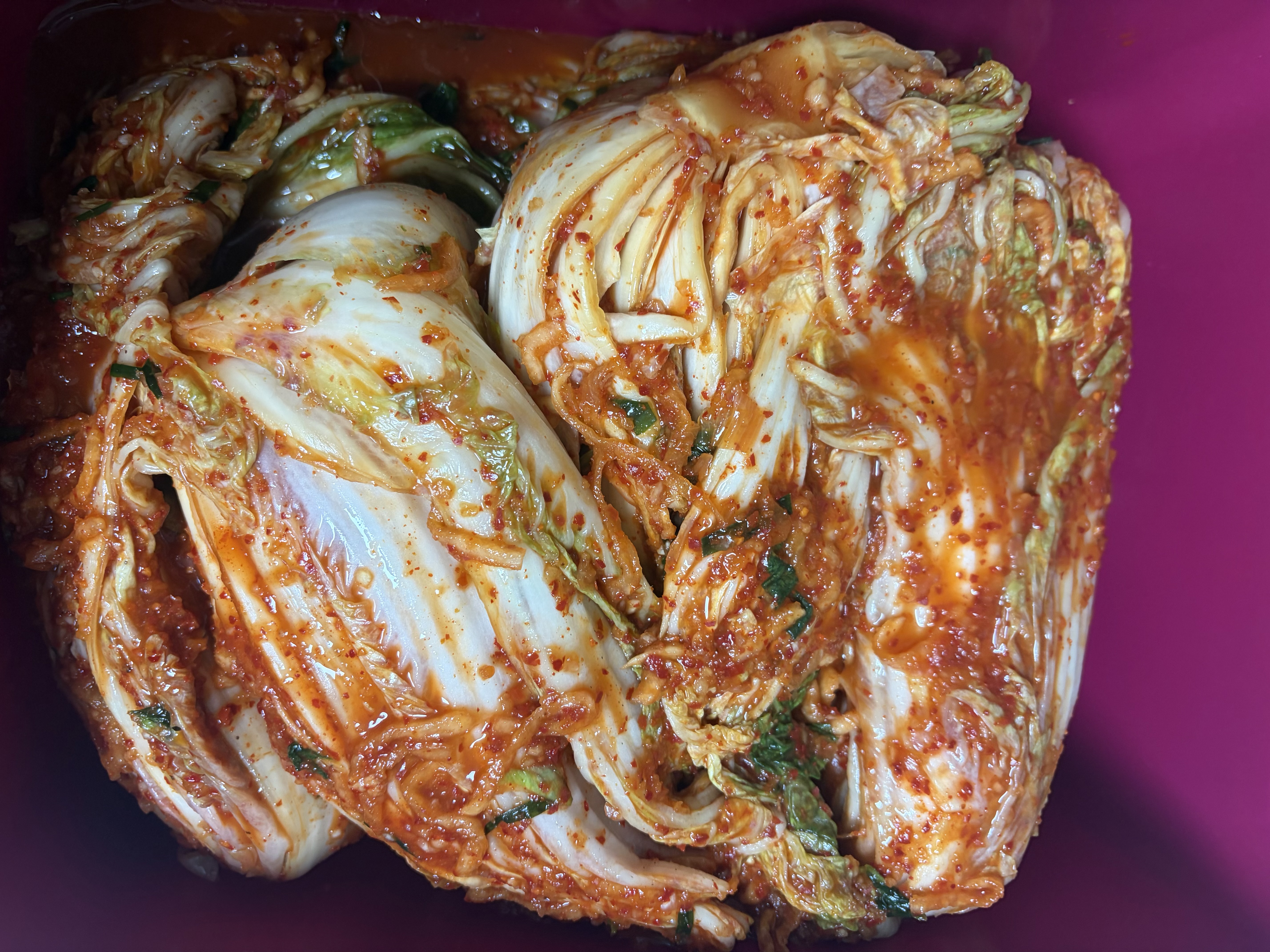 포토 후기 이미지
