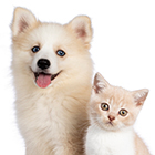 카테고리 이미지