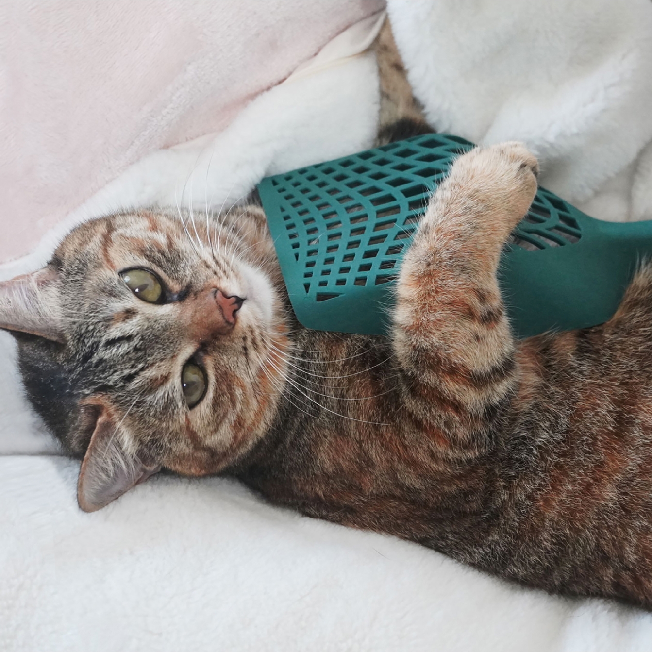 몬도미오펫 고양이 화장실 모래삽 스파이더스쿱