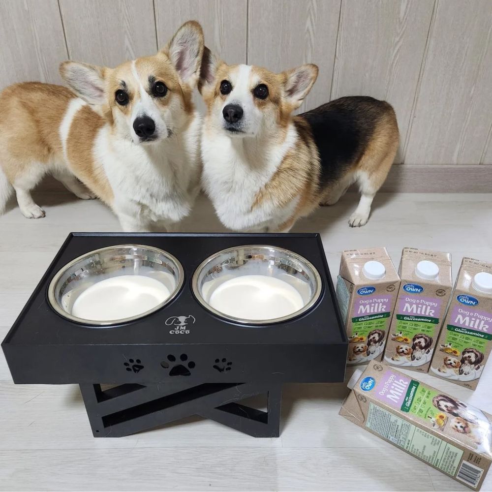 블랙독코리아 펫츠온 독앤퍼피 펫밀크 썸네일 3