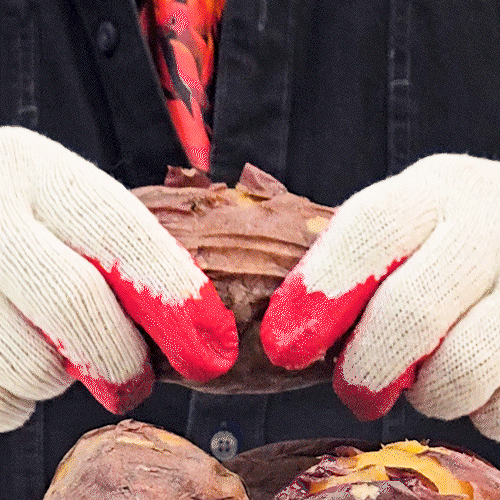 김의준 세척/숙성 베니하루카 황금꿀고구마 썸네일 11