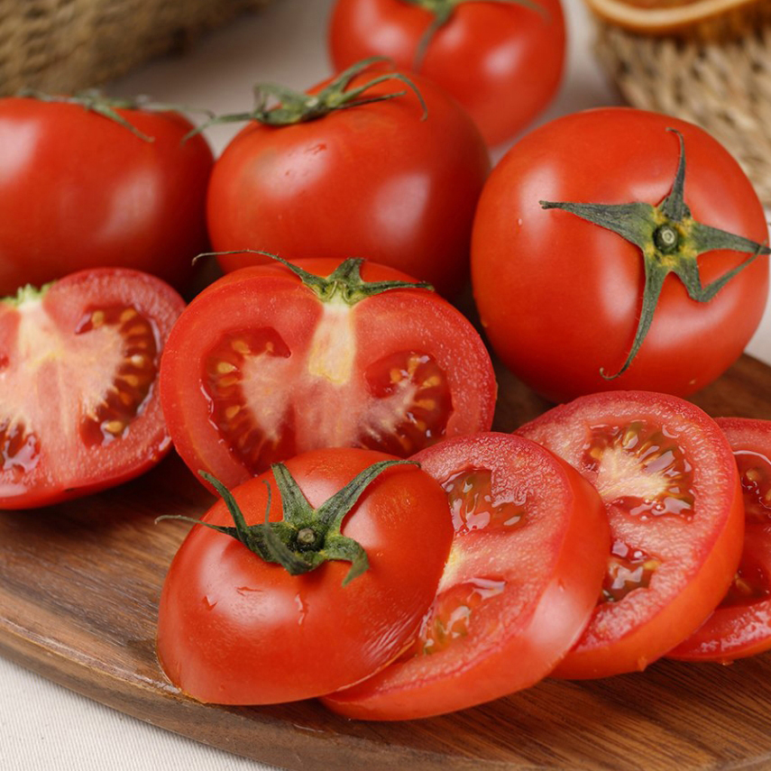 해성청과 GAP 완숙토마토