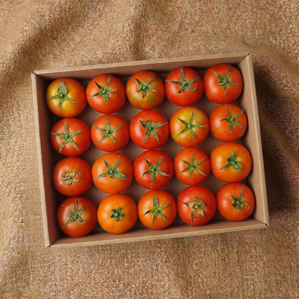 해성청과 GAP 완숙토마토 썸네일 2