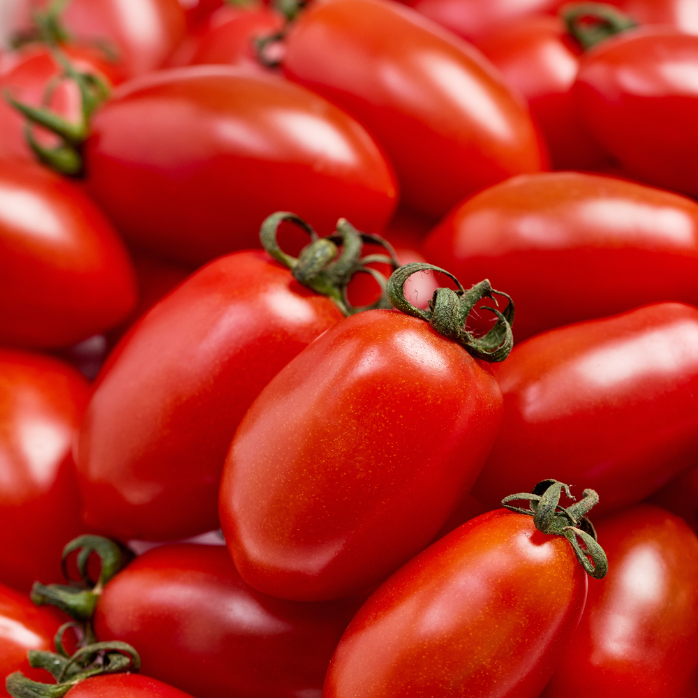 해성청과 GAP 대추방울토마토