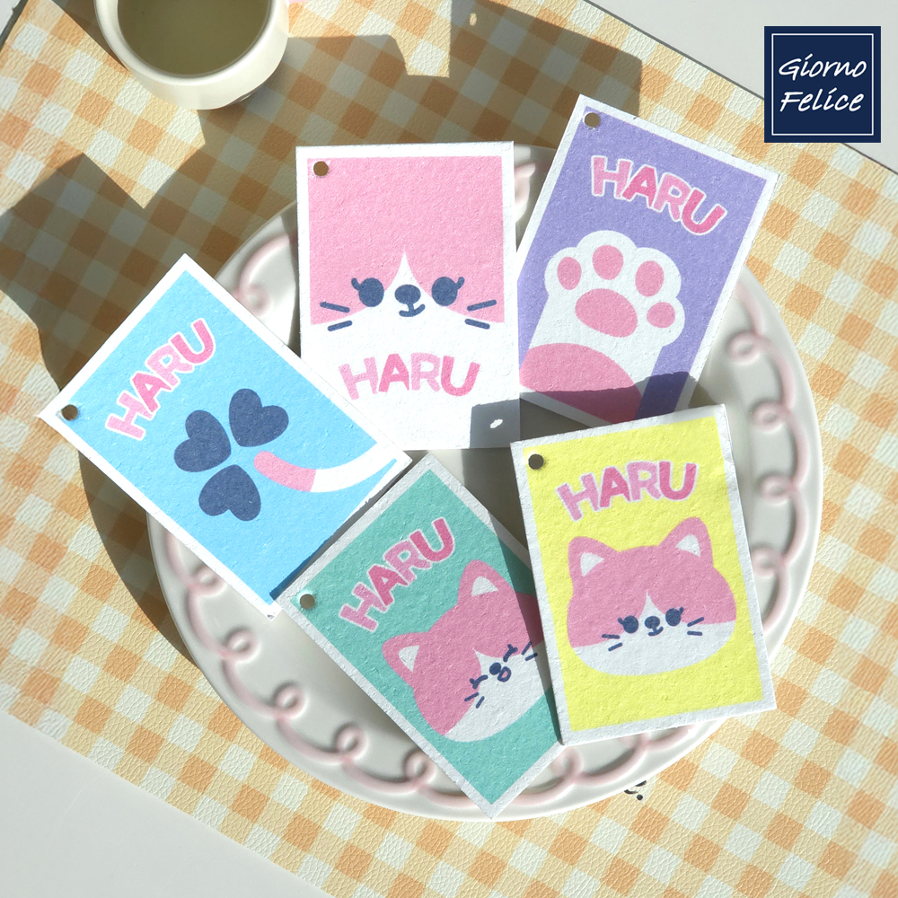 죠르노펠리체 생분해 셀룰로오스 수세미