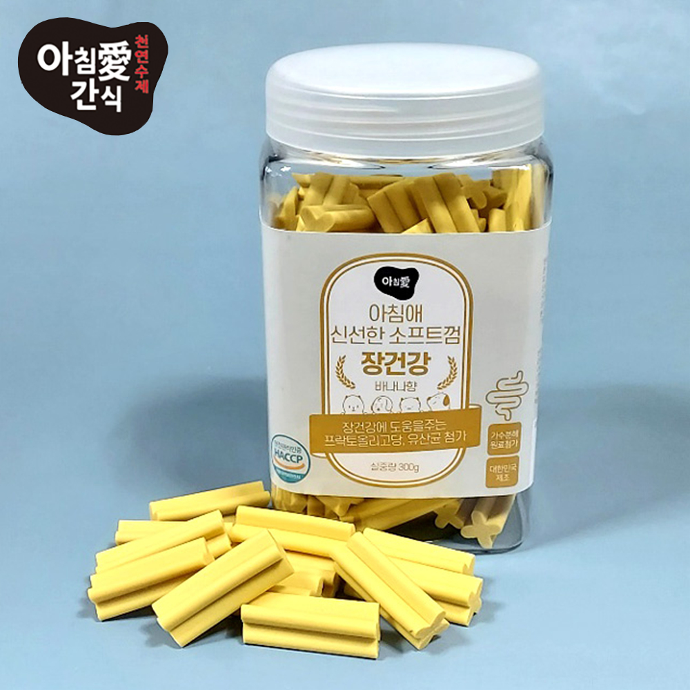 아침애간식 신선한 소프트껌 장건강