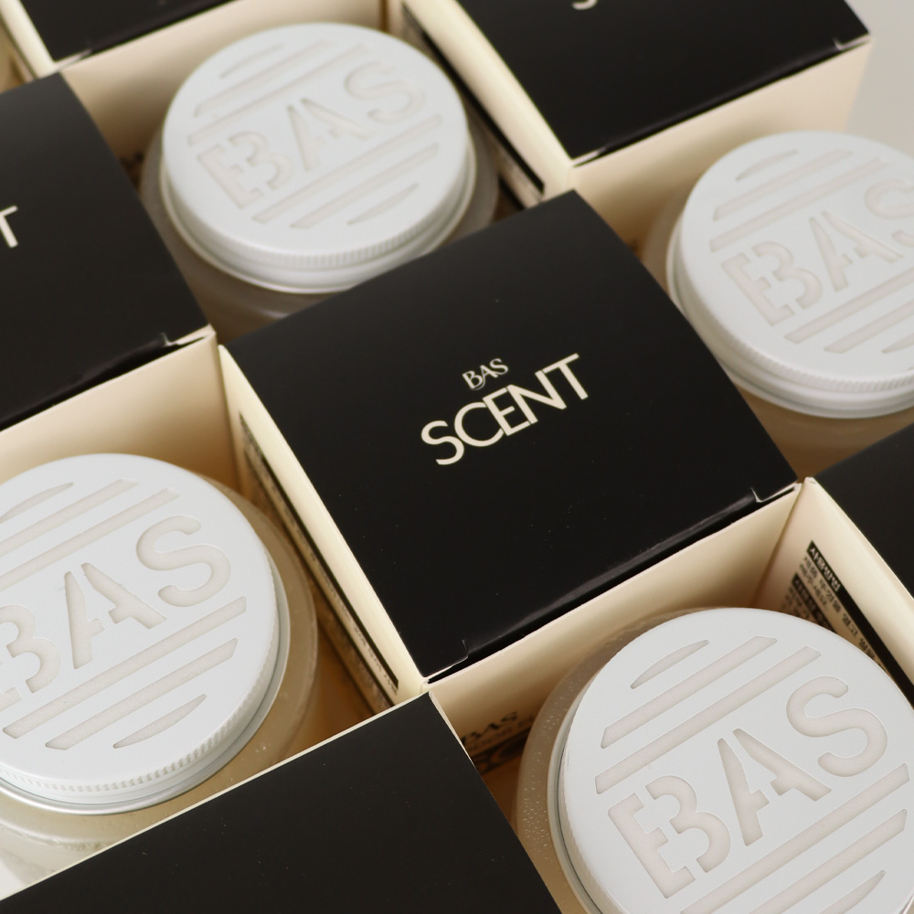 BAS 배드 에어 솔루션 센트 탈취제