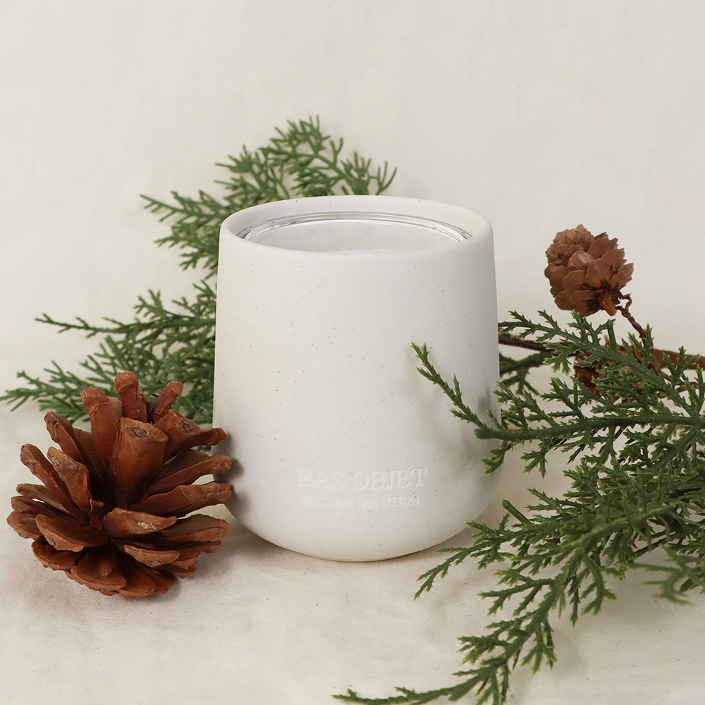 BAS 배드 에어 솔루션 오브제 탈취제