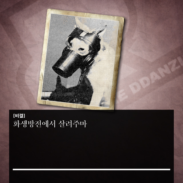 ddanzi_006-115.jpg