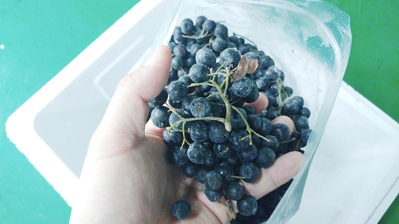 20161107_142417.jpg