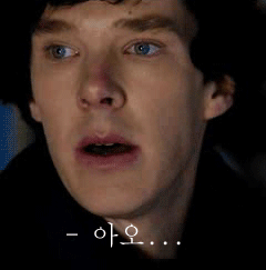 존맛.gif