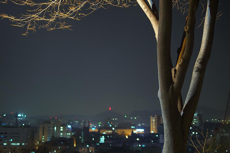 s나무_05.jpg