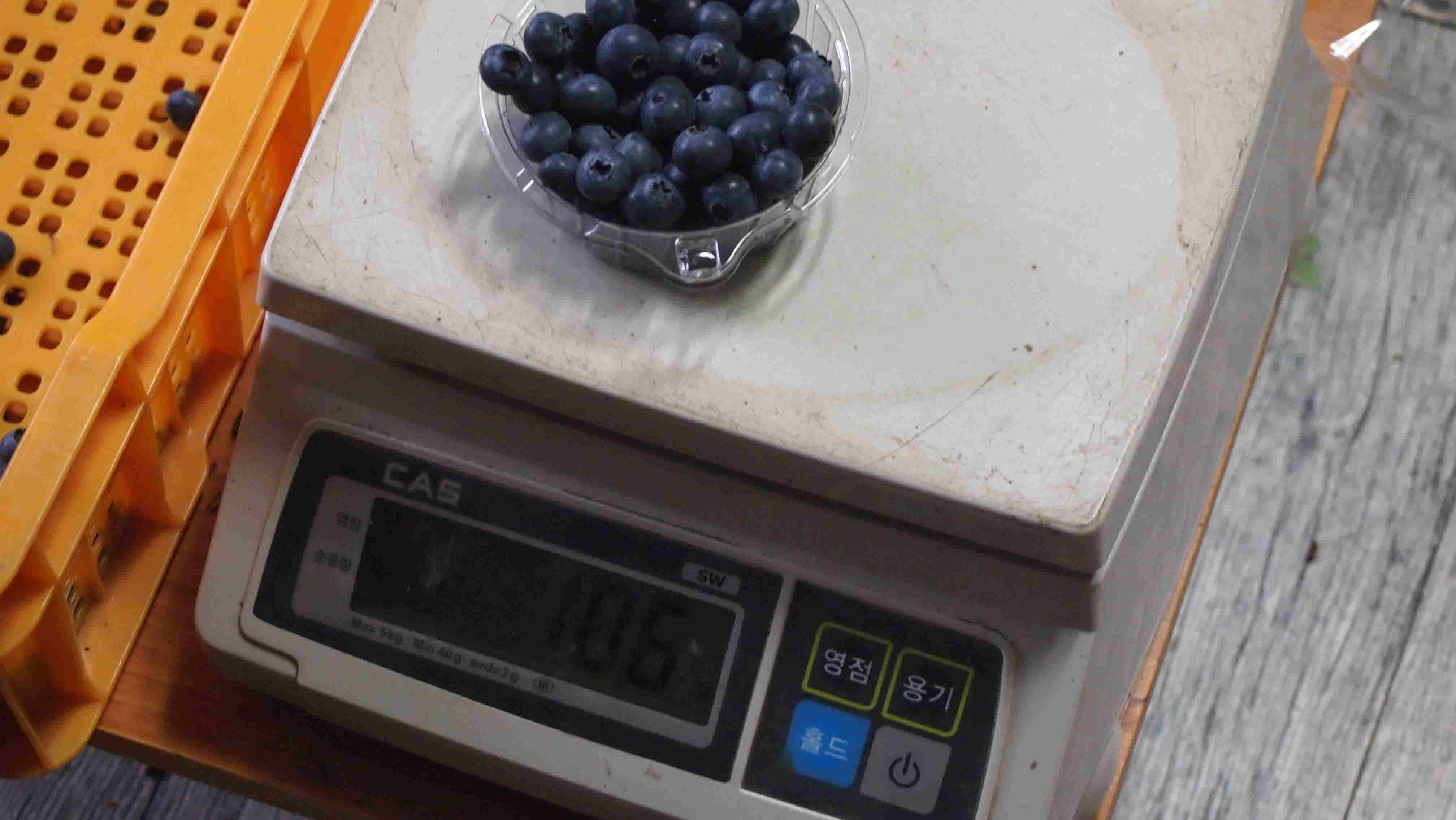포맷변환_P7071048.jpg