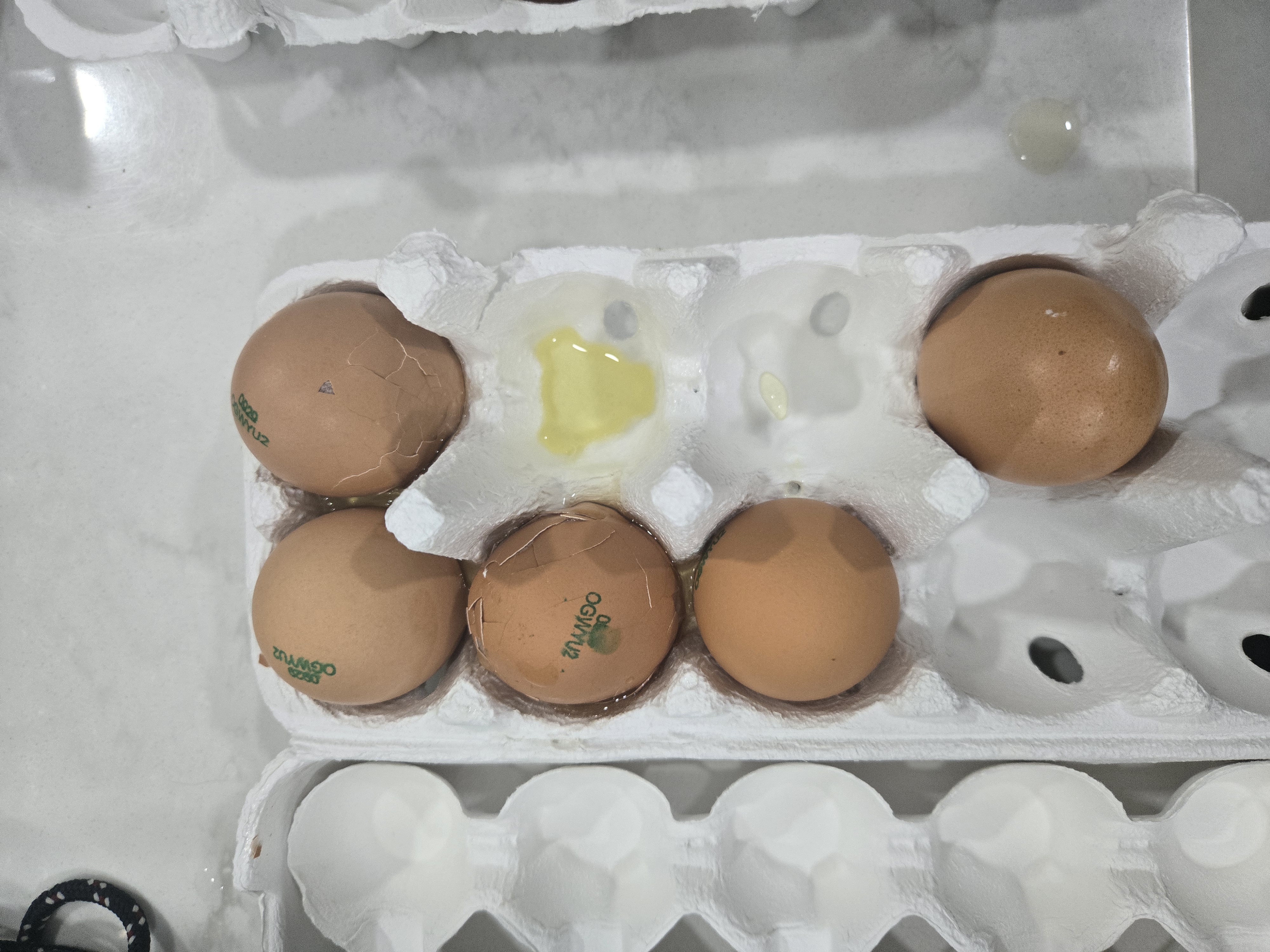 문의 첨부이미지