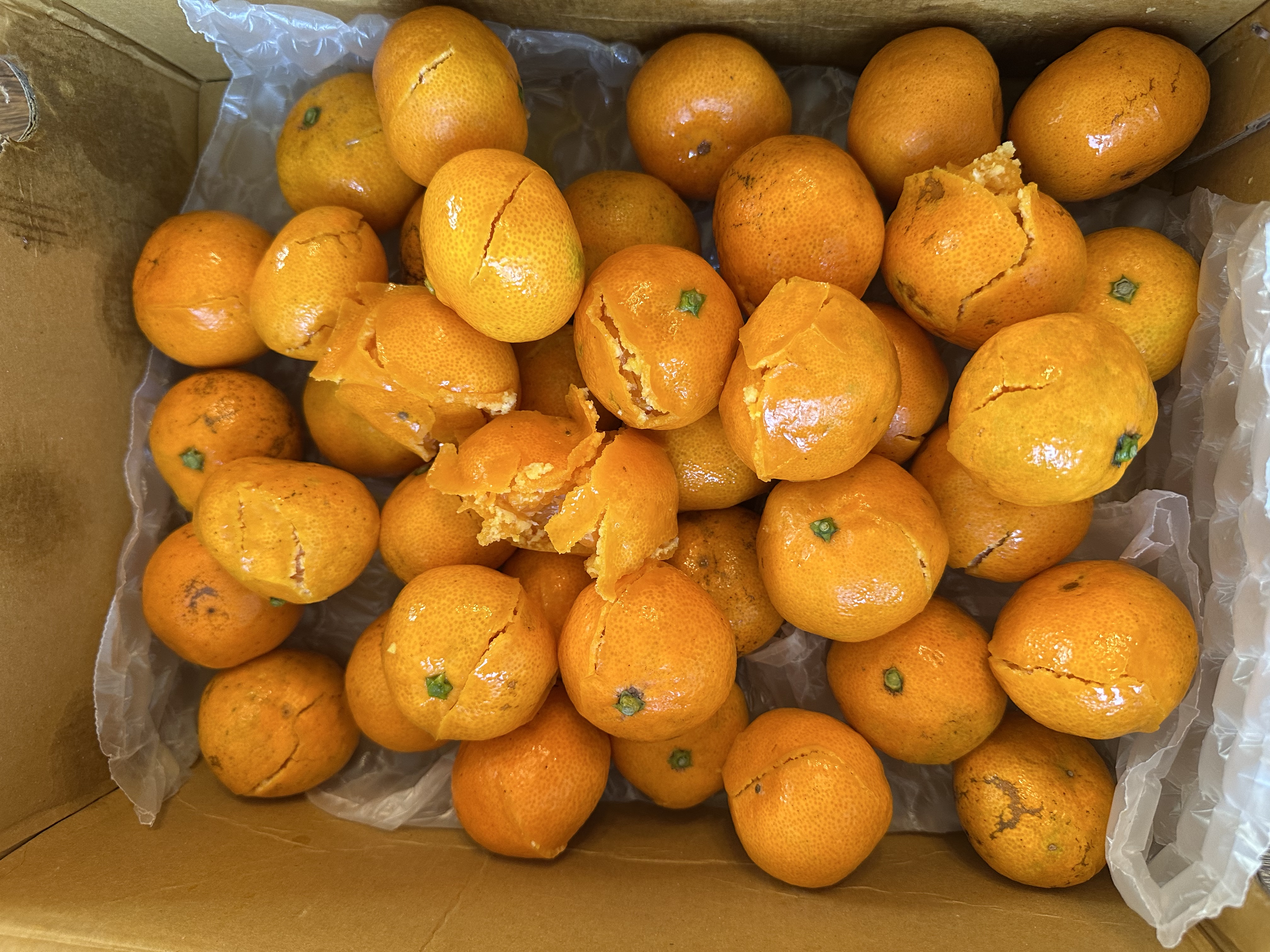 문의 첨부이미지