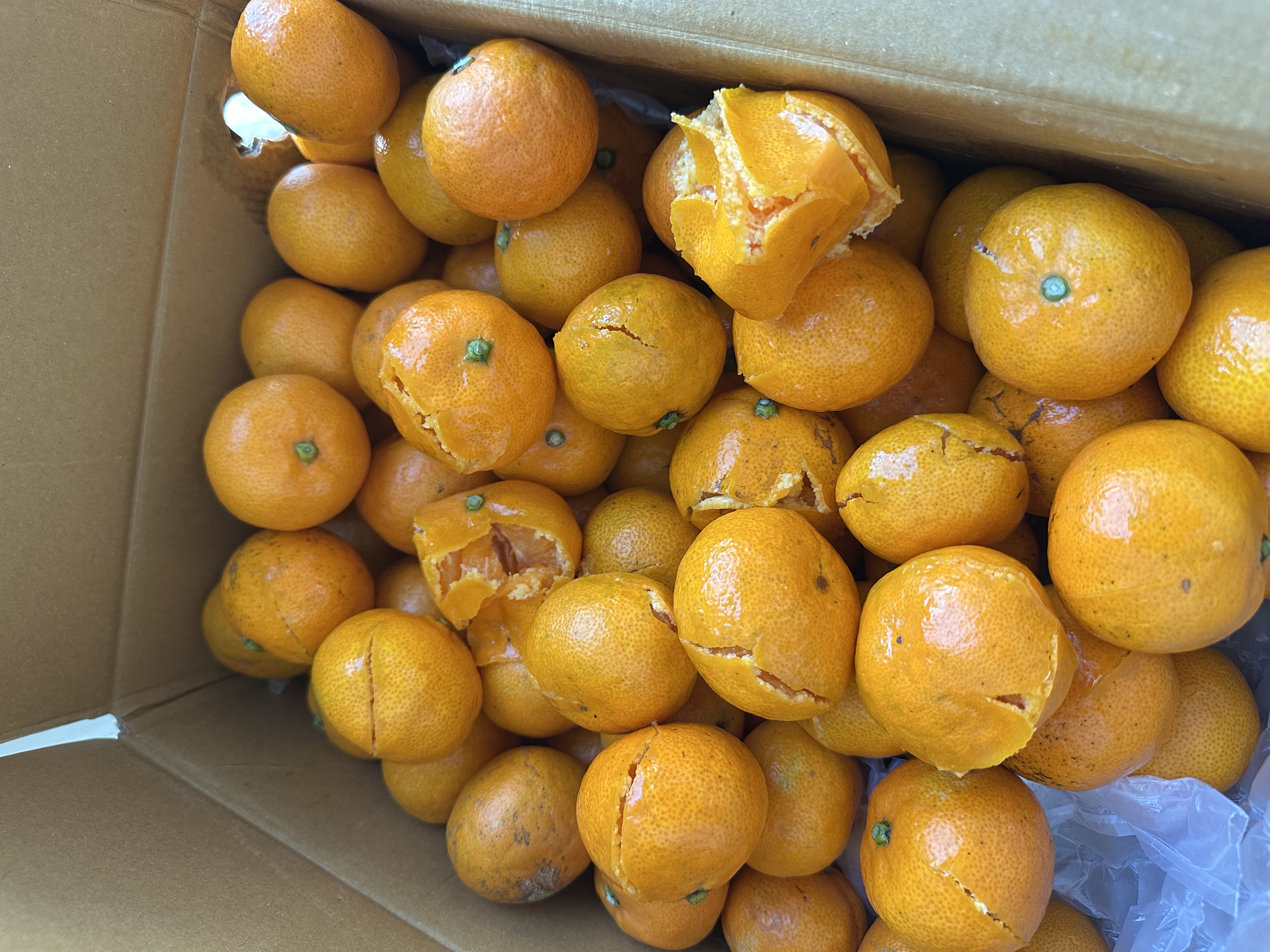 문의 첨부이미지